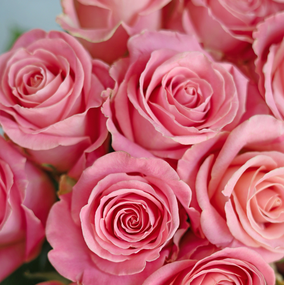 БУКЕТ 31 РОЗА HERMOSA