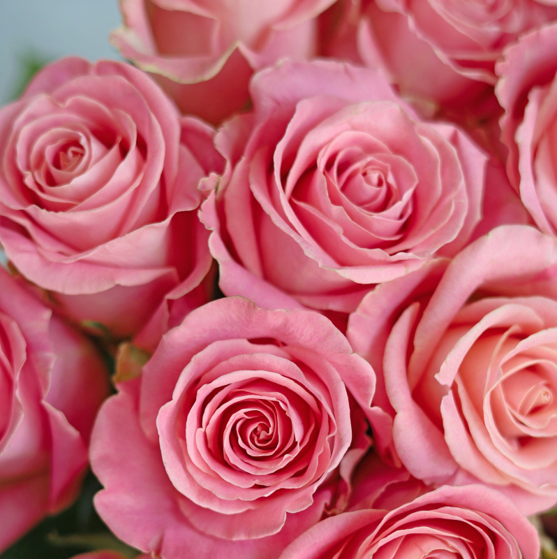 БУКЕТ 21 РОЗ HERMOSA БУКЕТ 21 РОЗ HERMOSA