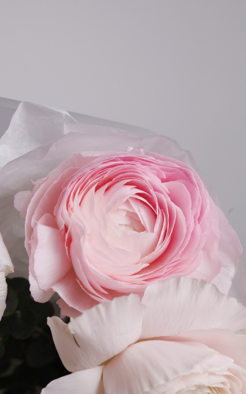 БУКЕТ ИЗ РАНУНКУЛЮСОВ 5 ШТ И ЭВКАЛИПТА