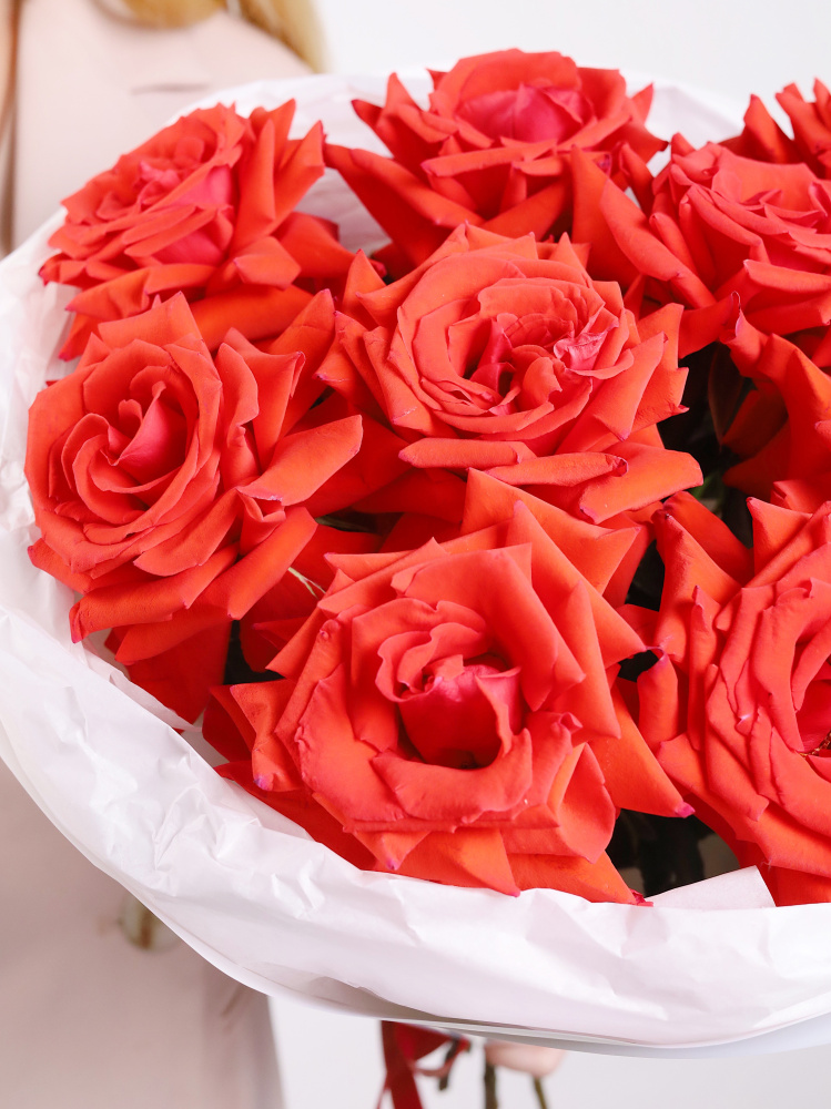 БУКЕТ С АЛОЙ ФРАНЦУЗСКОЙ РОЗОЙ