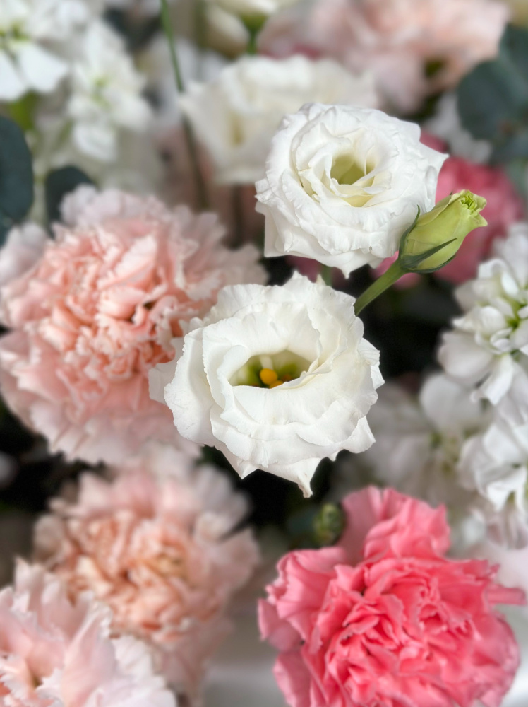 АРОМАТНАЯ МАТТИОЛА, ЭУСТОМА, ЭВКАЛИПТ В БОЛЬШОЙ БАРХАТНОЙ КОРОБКЕ