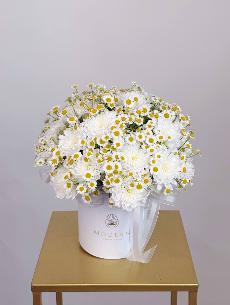 КОМПОЗИЦИЯ С РОМАШКОЙ