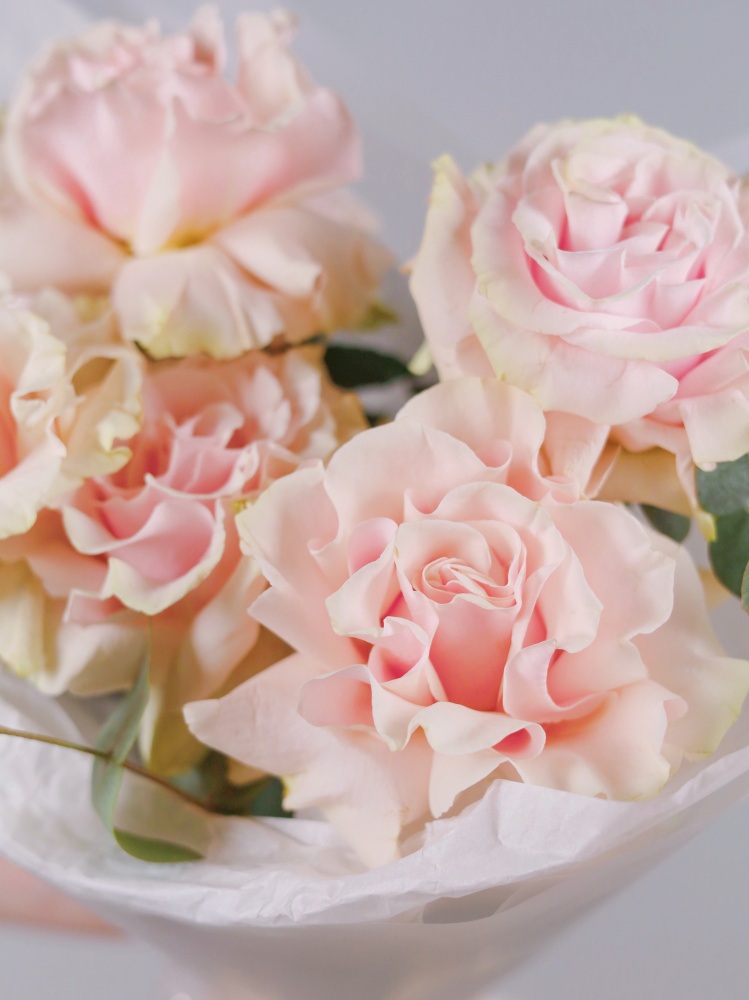 БУКЕТ 5 ФРАНЦУЗСКИХ РОЗ