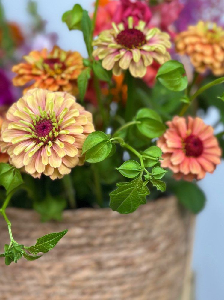 ЯРКАЯ КОРЗИНА С ЛЕТНИМИ ЦВЕТАМИ