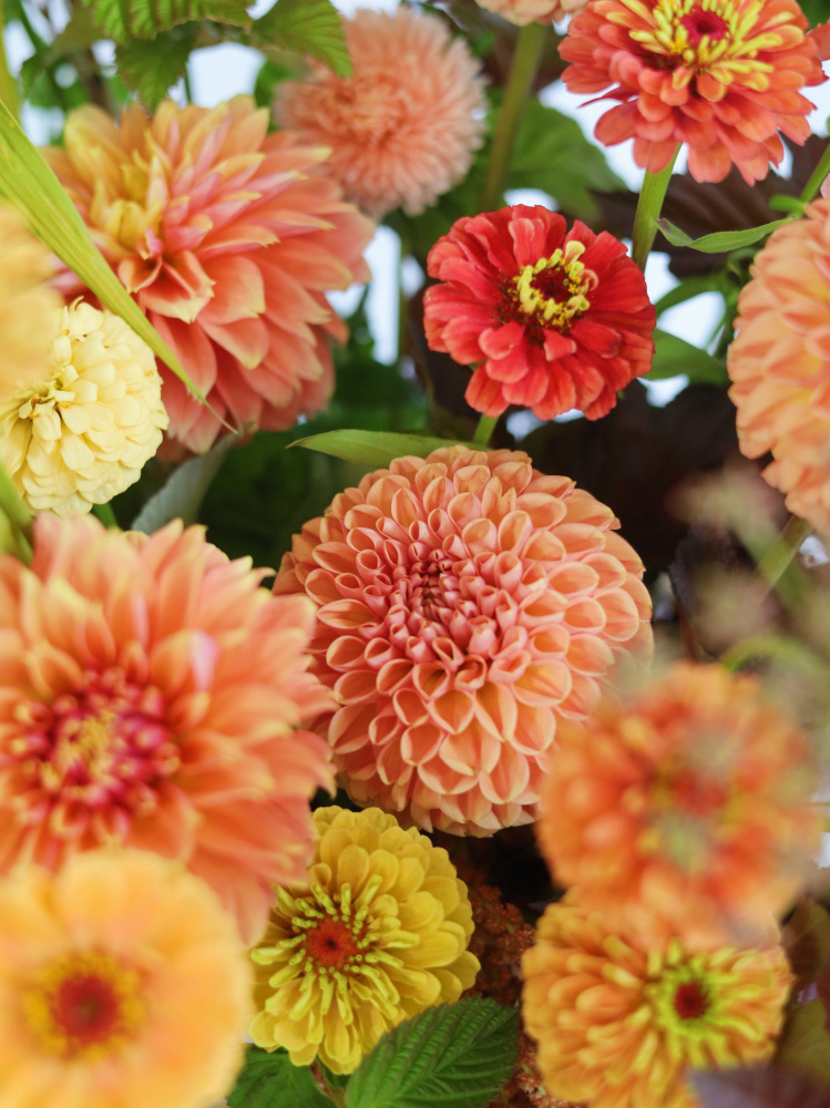 БОЛЬШАЯ КОРЗИНА С ГЕОРГИНАМИ И ДРУГИМИ ЛЕТНИМИ ЦВЕТАМИ